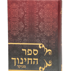 החינוך-מנוקד-הדמיה