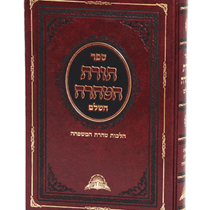 הטהרה-השלם-הדמיה