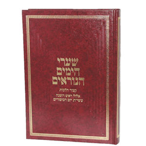 הימים-הדמיה