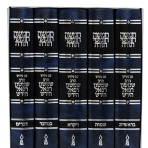 הירש-סט-חדש-הדמיה