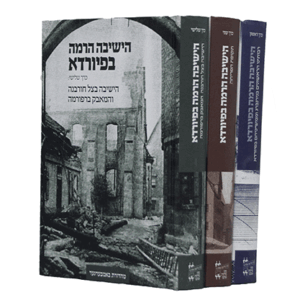 הישיבה-הדמיה