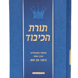 הכיבוד-הדמיה