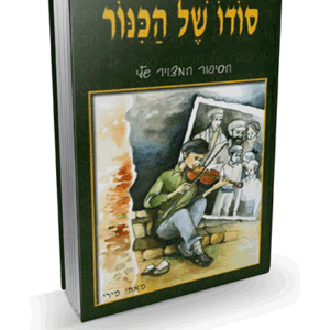 הכינור-מבצע-הדמיה