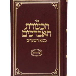 הכשרת-הדמיה