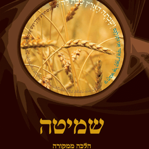 הלכה-ממקורה-–-שמיטה