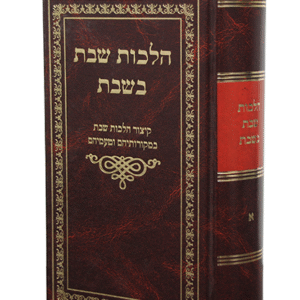 הלכות-שבת-בשבת-copy