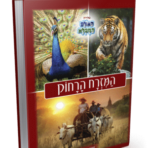 המזרח הרחוק