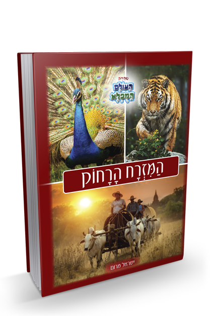 המזרח הרחוק