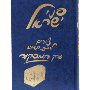 המפקיד-הדמיה