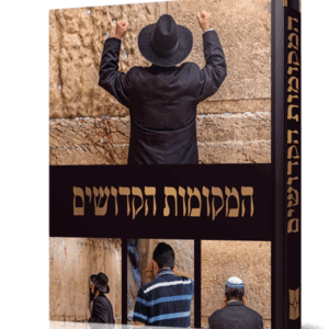 המקומות-הדמיה