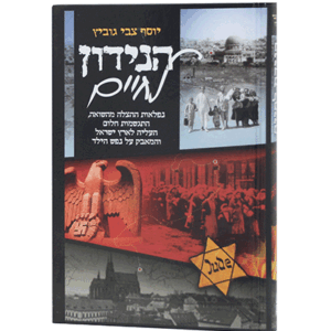 הנידון-הדמיה