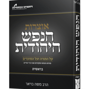 הנפש-היהודית-הדמיה