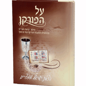 הפורקן-מבצע-הדמיה