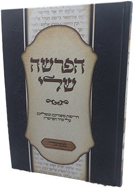 הפרשה שלי - במדבר