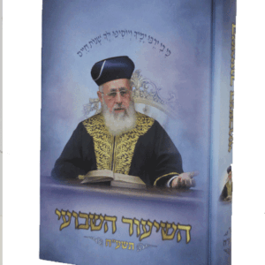 השיעור-השבועי-הדמיה