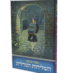 השליחות-הגורלית-הדמיה