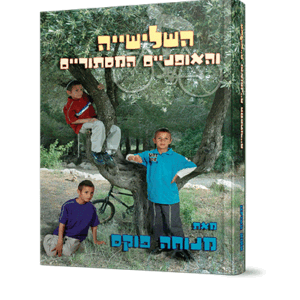 השלישיה-והאופנים-הדמיה