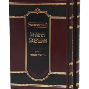 התורה-הדמיה