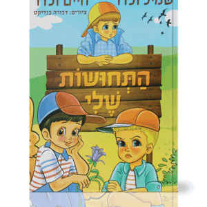 התחושות-הדמיה