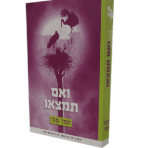 ואם-תמצאו-הדמיה