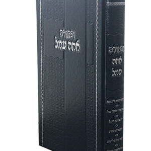 ובתורה-אתה-עמל-copy