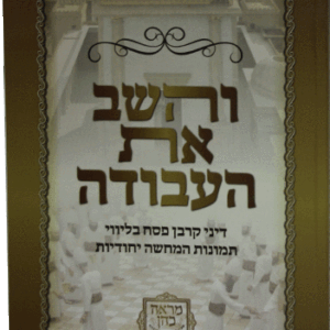 והשב-את-העבודה-הדמיה