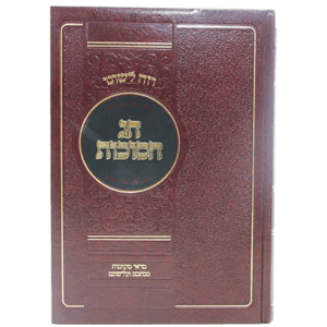 וזה-סוכות-הדמיה