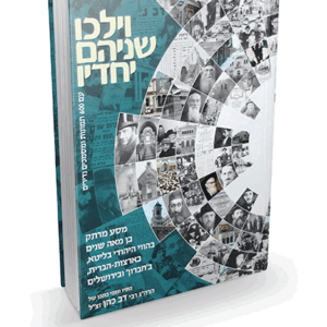 וילכו-הדמיה