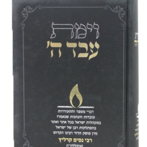 וימת-עבד-ה-הדמיה