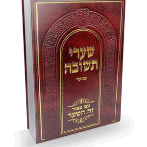 זה-השער-הדמיה