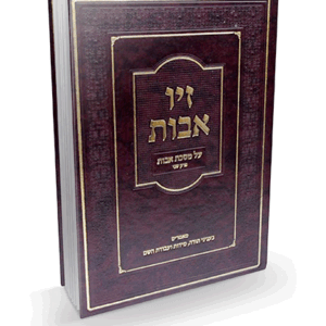 זיו-אבות-א-הדמיה