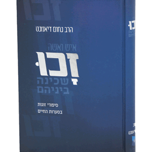 זכו-הדמיה