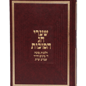 חג-הסוכות-הדמיה