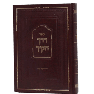 חוקיך-הדמיה