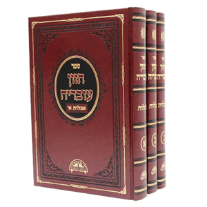 חזון-אבלות-סט-הדמיה