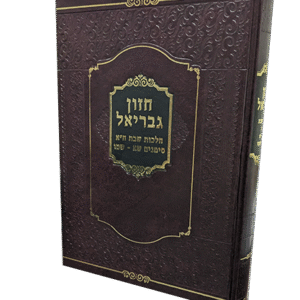 חזון-גבריאל-