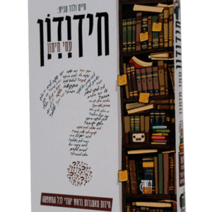 חידודון-הדמיה