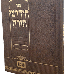 חידושי-תורה-כנסת