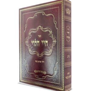 חיי-הלוי-הדמיה-תלת-מימד-1-pdf-scaled