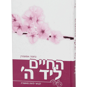 חיים-ליד-הדמיה