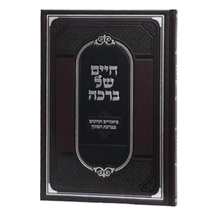 חיים-של-ברכה-הדמיה