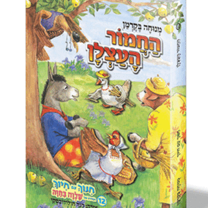 חינוך-בקרמן-12-הדמיה