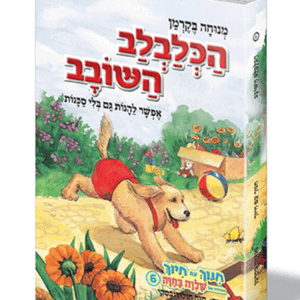 חינוך-בקרמן-6-הדמיה
