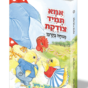חינוך-בקרמן-9-הדמיה