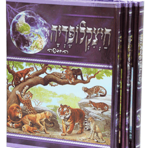 חיצקלופדיה-חדש-הדמיה