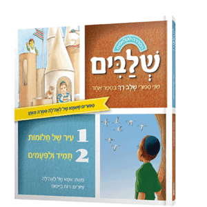 חלומות-נילון-מבצע-הדמיה