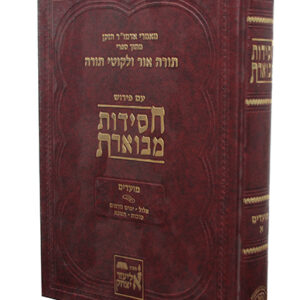 חסידות-מבוארת-מועדים-copy