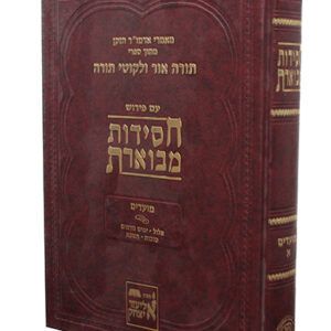 חסידות-מבוארת-מועדים-copy