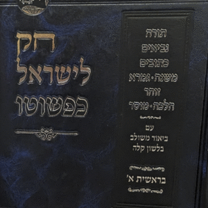 חק-לישראל-כשפוטו-שטוח