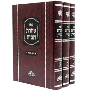 טהרת-הבית-הדמיה